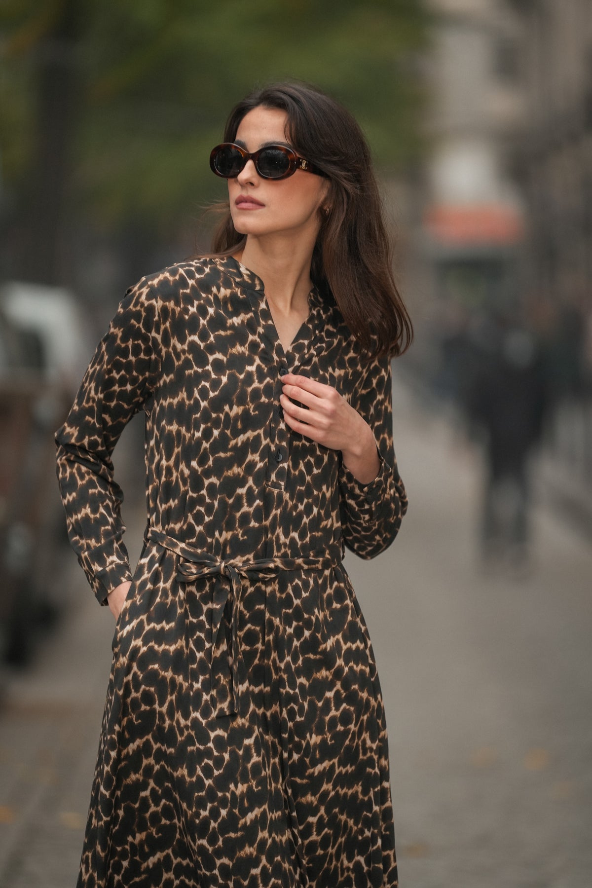 Vestido Animal Print em Viscose